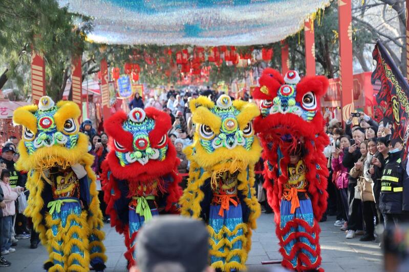 2026年济南千佛山新春游园会舞狮表演。马剑摄