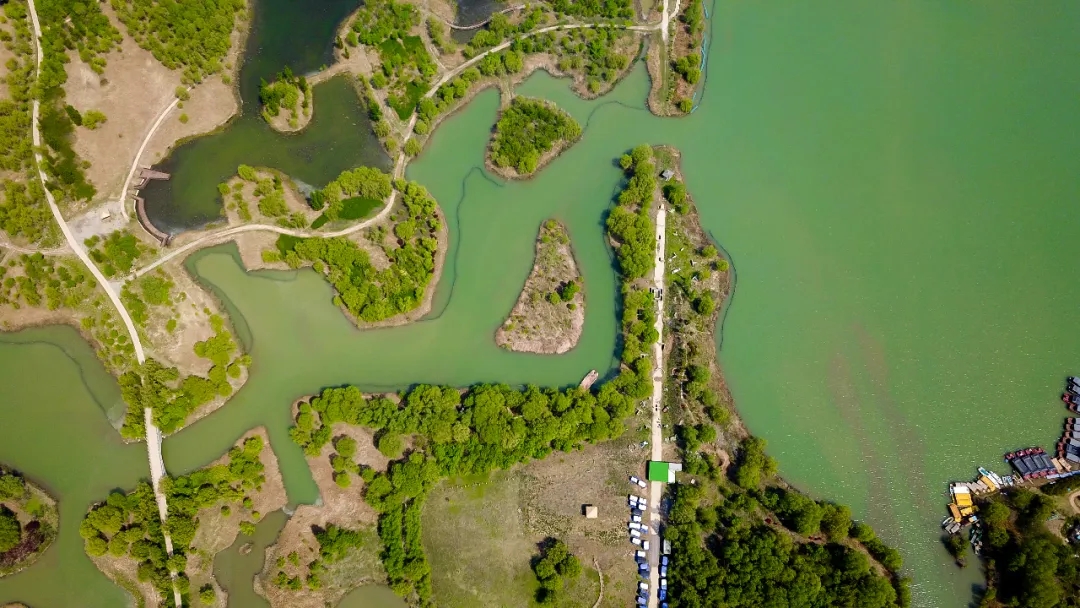 新华社泉城济南济西湿地春色美