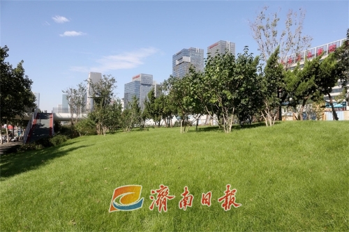 整个社区公园场地采用无障碍设计,通过更换乔灌木,补植草坪,塑造缓坡