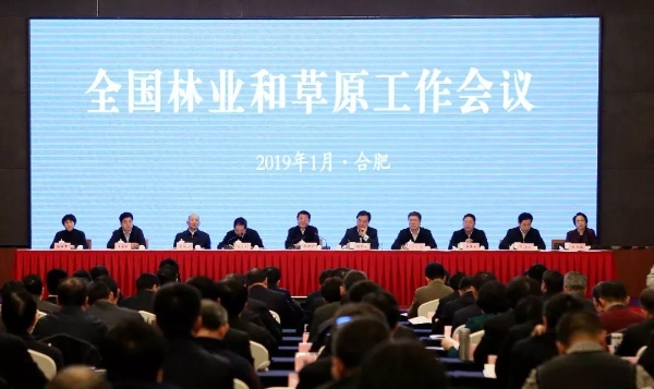 2019国家重点扶持项目