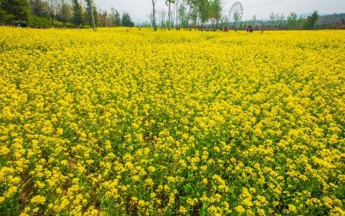 济南市植物园