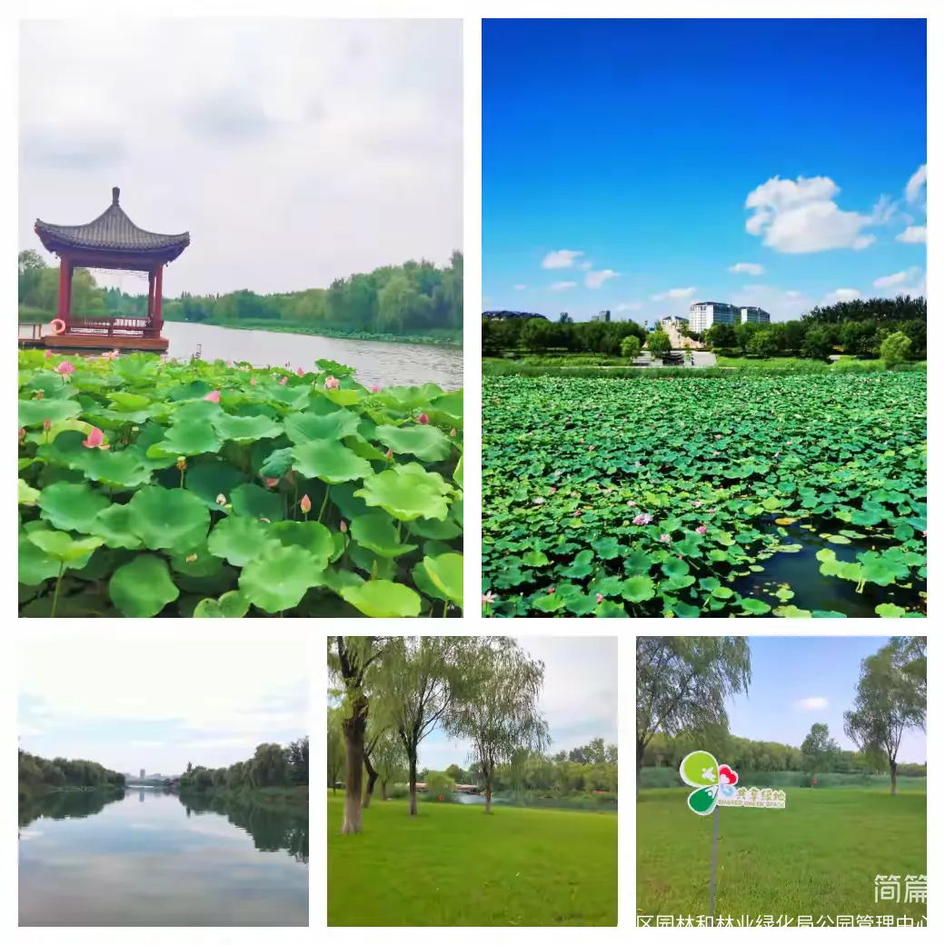 章丘区:绣江河公园 碧水绕城·生态成卷