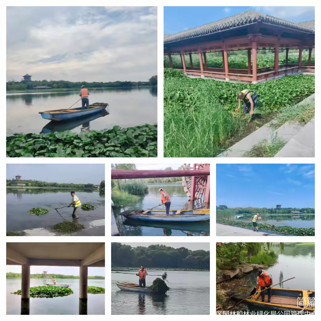 章丘区:绣江河公园 碧水绕城·生态成卷