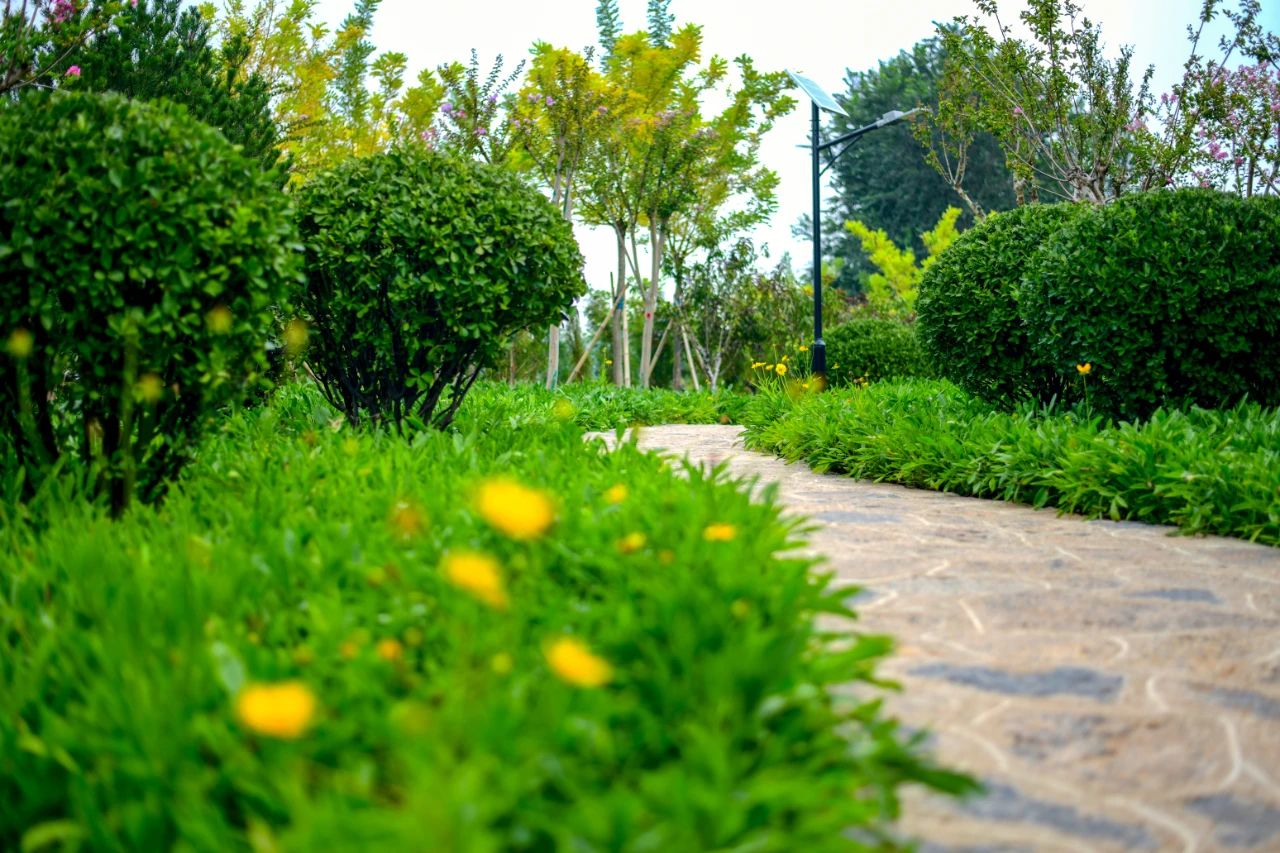 又添好去处!济南燕翅山西坡山体公园完成绿化改造近期开放