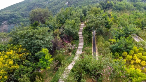 又添好去处!济南燕翅山西坡山体公园完成绿化改造近期开放