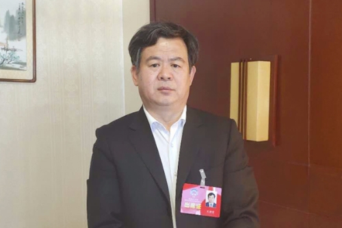 市政协委员市园林和林业绿化局局长王国富接受媒体采访